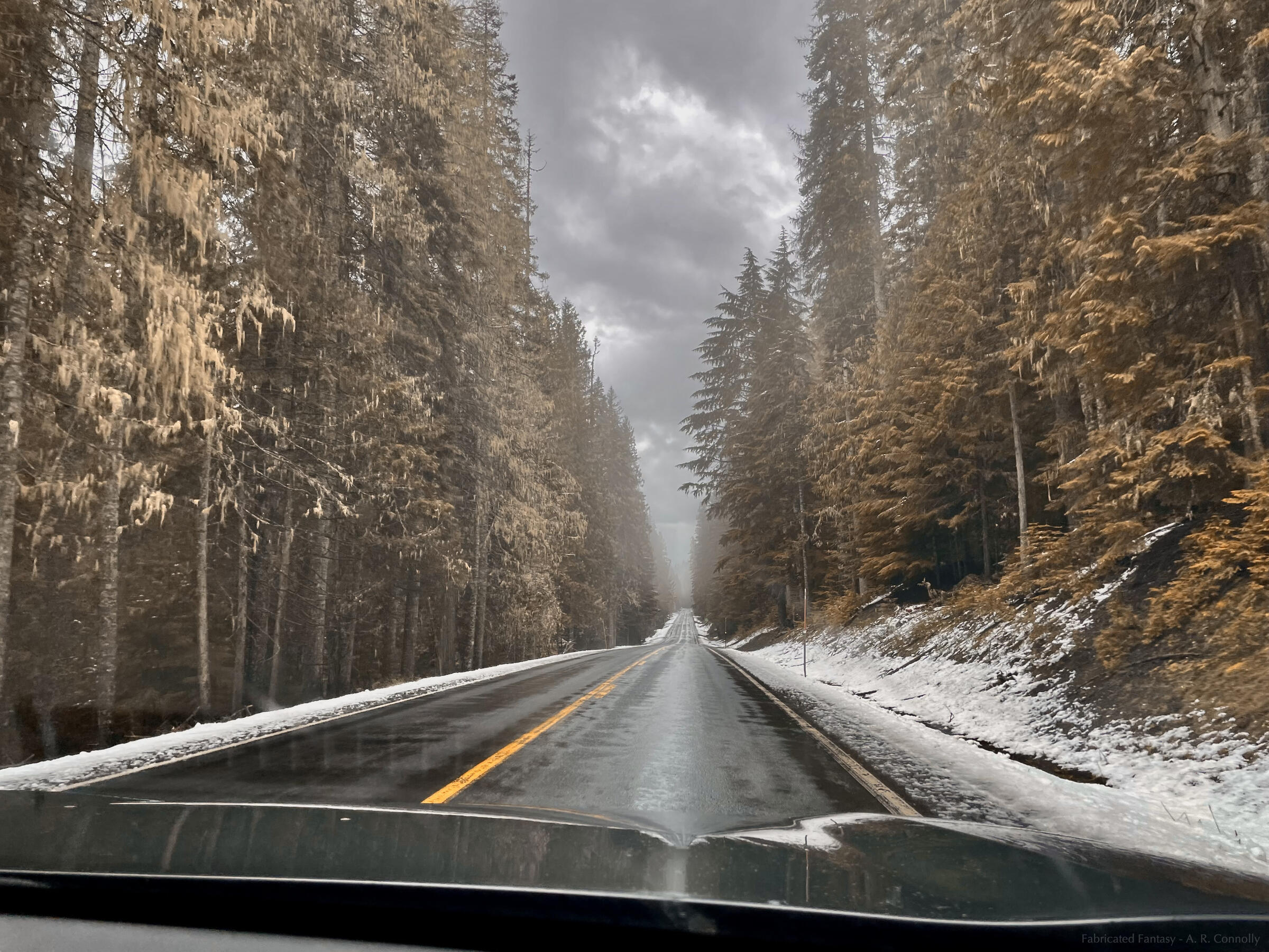 Fabricated Fantasy