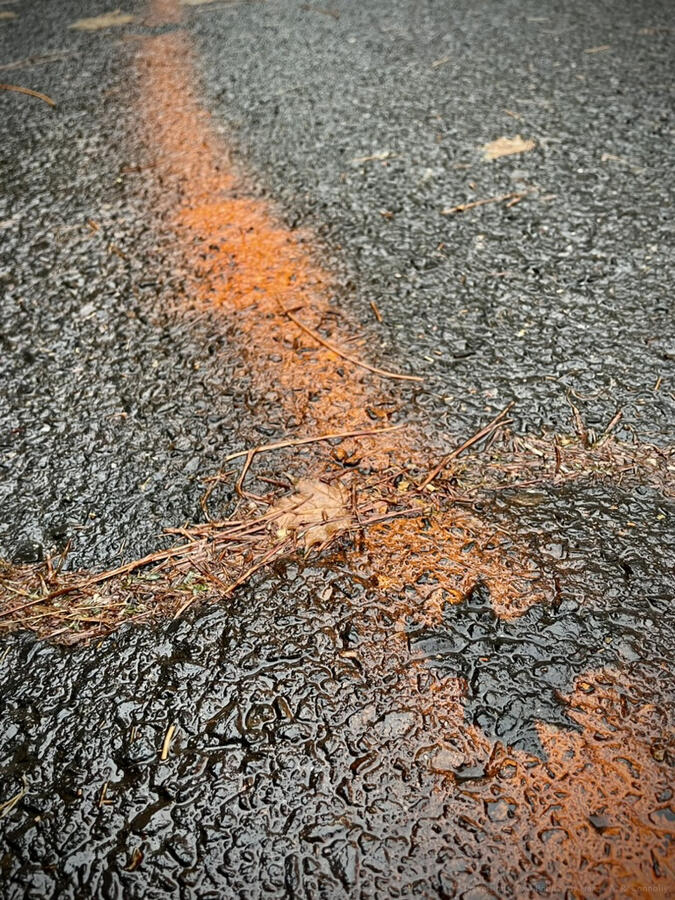 Impressions (Two Bodies Lay Here)