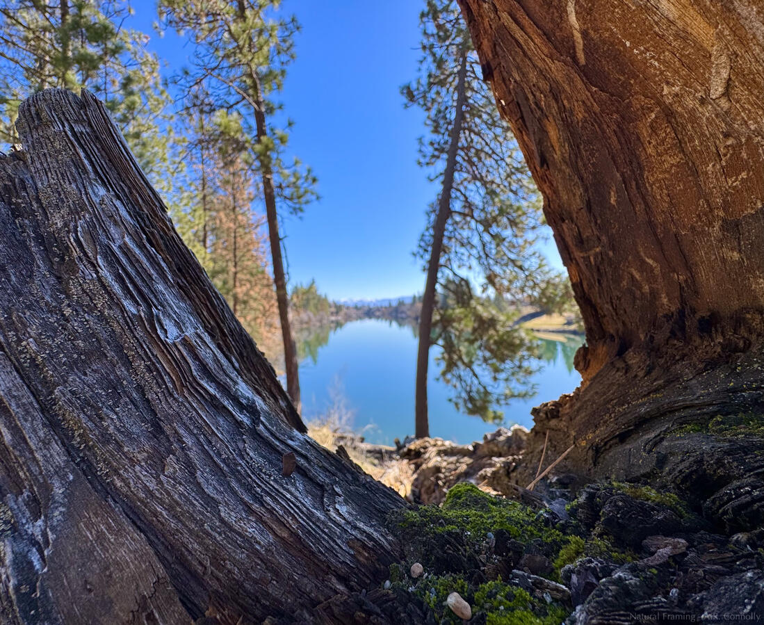 Natural Framing