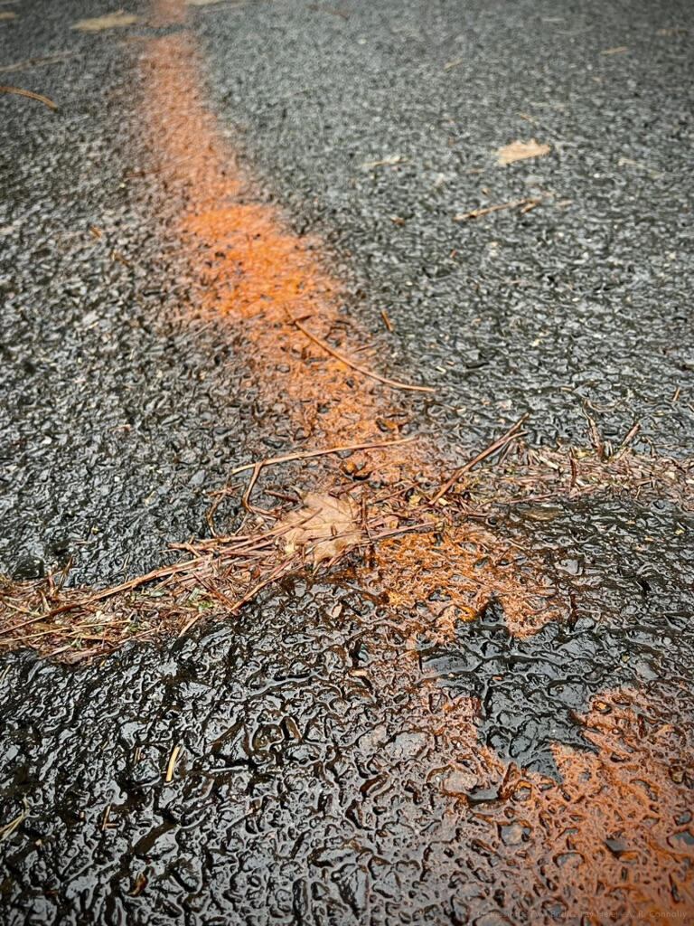 Impressions (Two Bodies Lay Here)