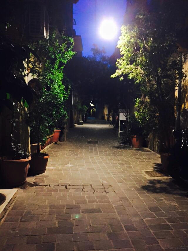 Alleyway Moon