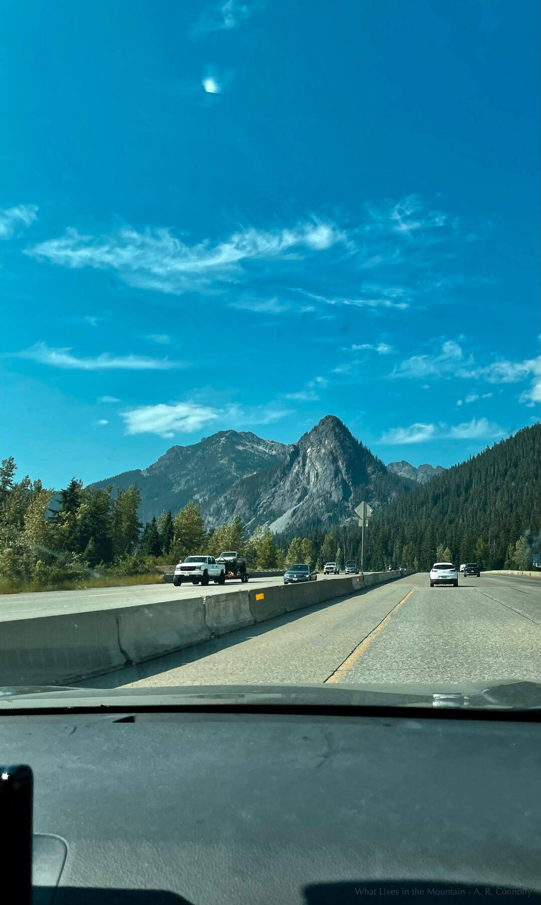 What Lives in the Mountain