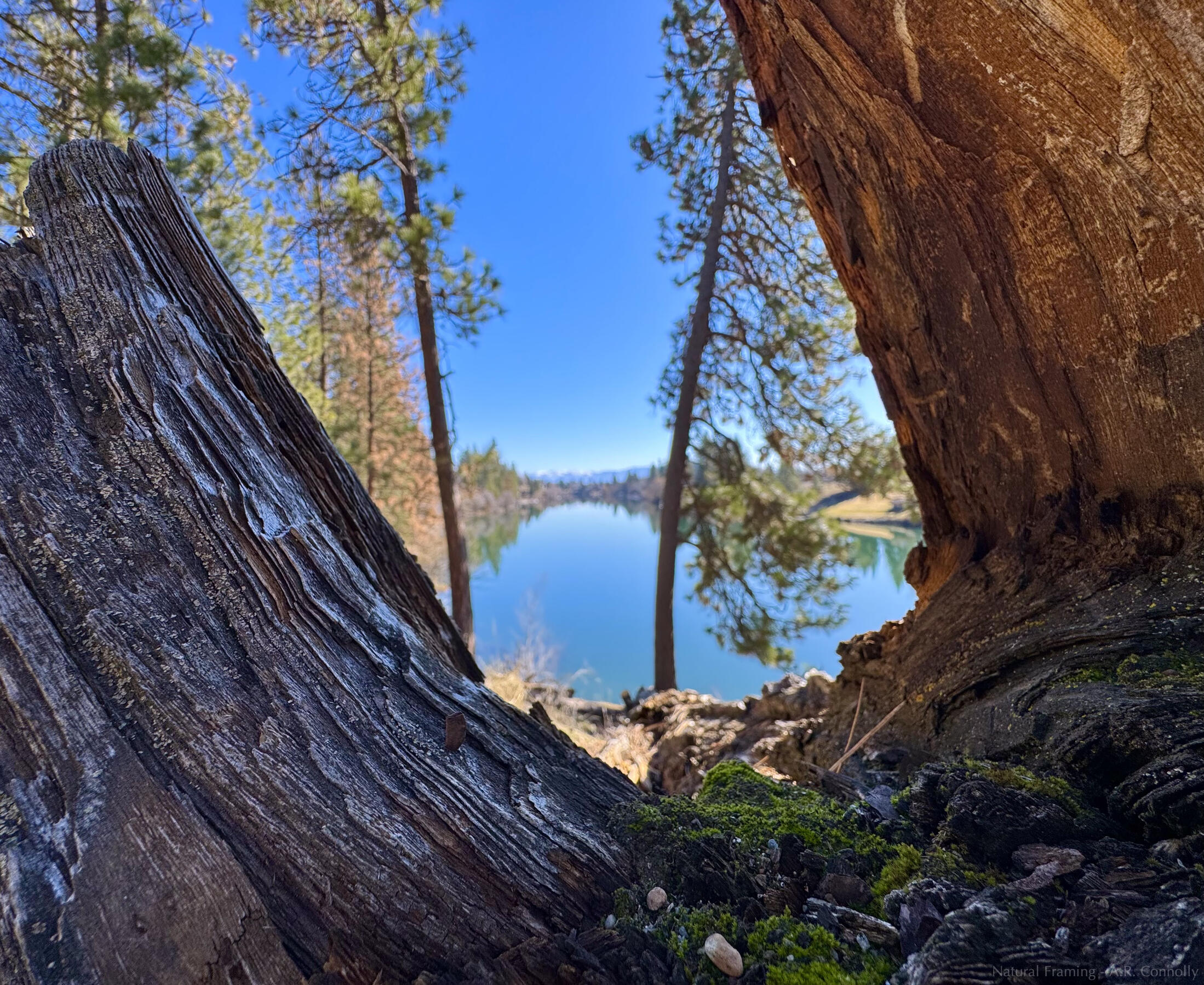 Natural Framing