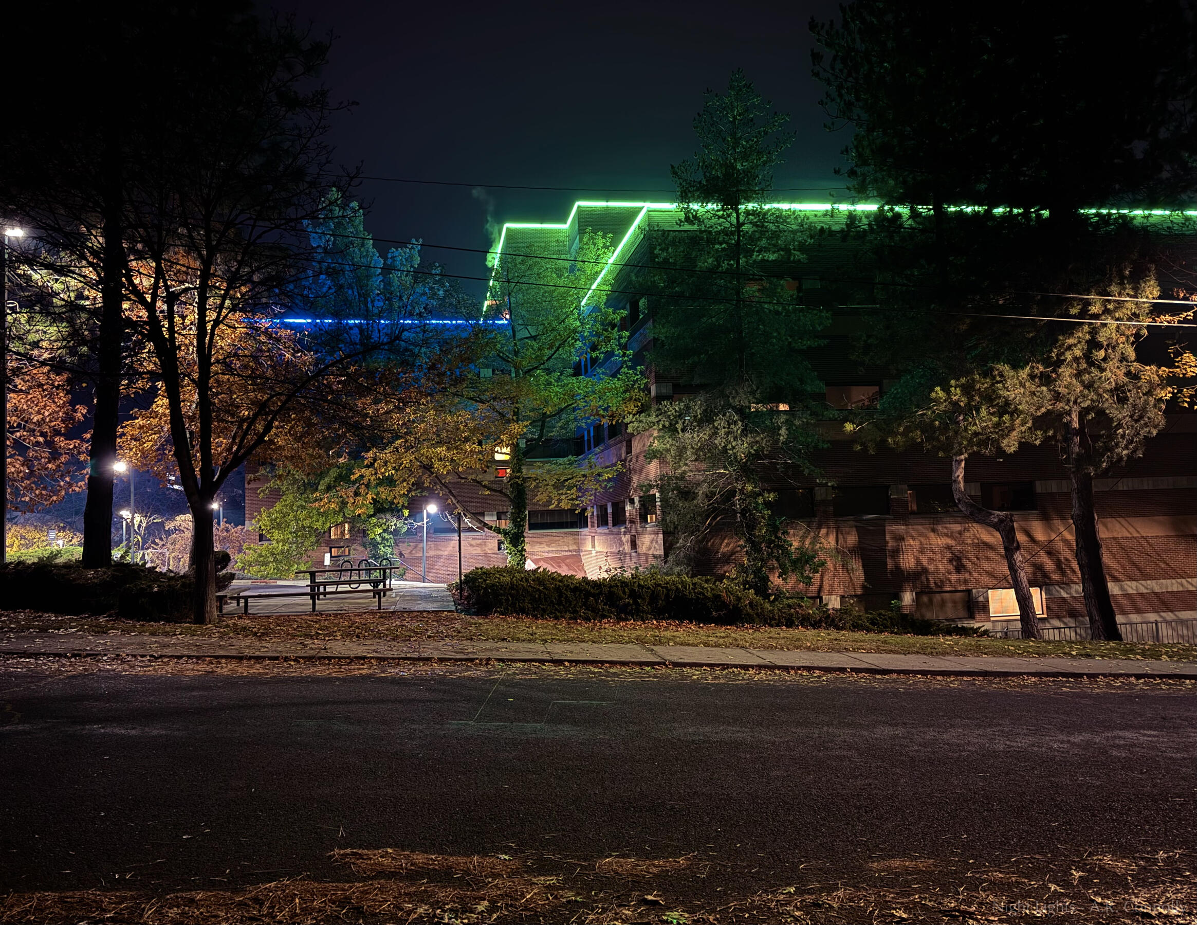 Night Lights